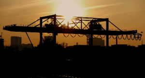 Export Accounting Specialist